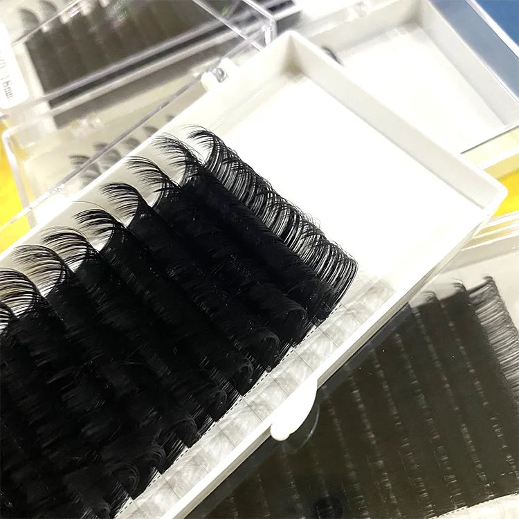 Easy Blooming individual Eyelashes Extension Fan