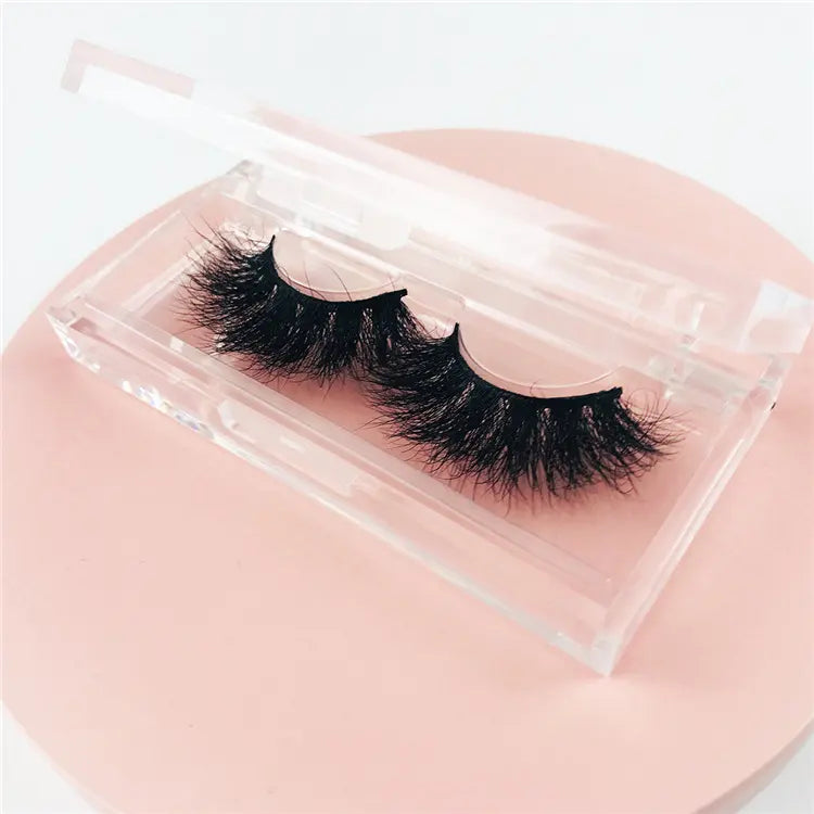 Lashes Business Printing Top Quality Clear Acrylic Lash Box Plastic Transparent Luxury Custom Lashes Case Packaging