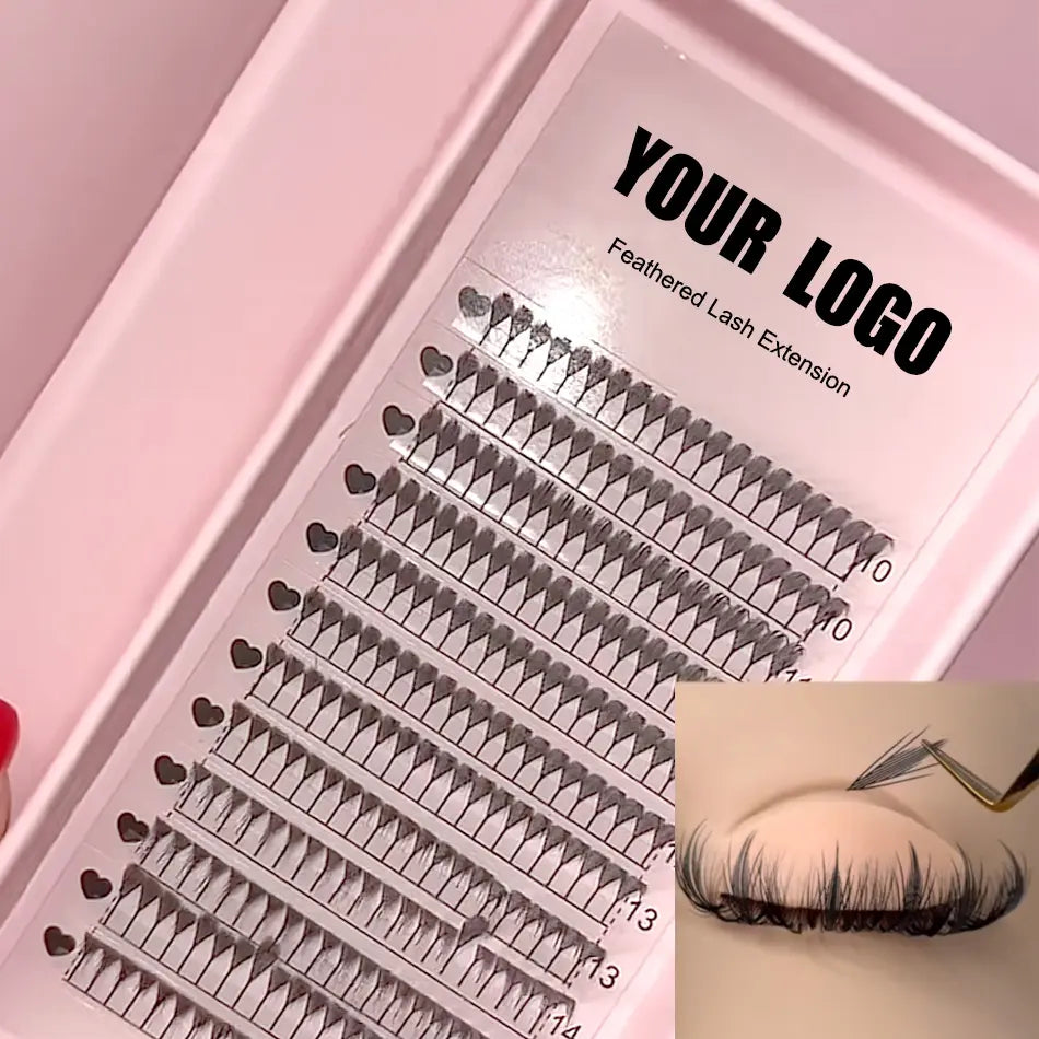 2025 New Fashion Feathered Lash Extension Fan Soft Light Comic Lashes Spire CC 3D Printed Anime Lashes Trays