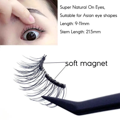 2024 Latest Trending Soft Magnetic Eyelashes No Glue Needed No Removal High Magnetic False Eyelashes Feather Style Synthetic