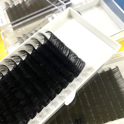 Easy Blooming individual Eyelashes Extension Fan