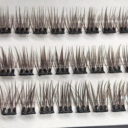 Chocolate Natural Brown Lash Clusters Trays Brown Lash Supplies Silk Dark Brown Glue-free False Eyelashes Clusters