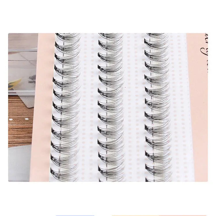Heat Bonded 10D 20D 30D Individual Eyelash Extensions Premade Fans Classic 3 Lines 60 Pieces Pre Cluster Lashes