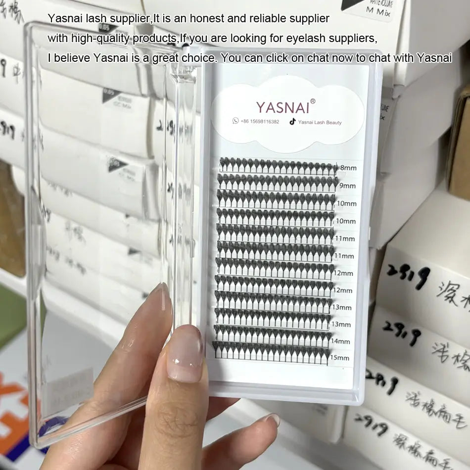 2025 New Fashion Feathered Lash Extension Fan Soft Light Comic Lashes Spire CC 3D Printed Anime Lashes Trays