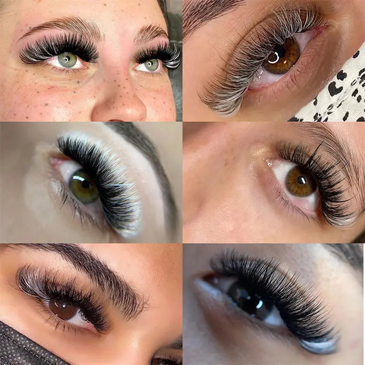 Private Label White Easy Fan Lashes Colored Blooming Volume Lash Extensions Supplier