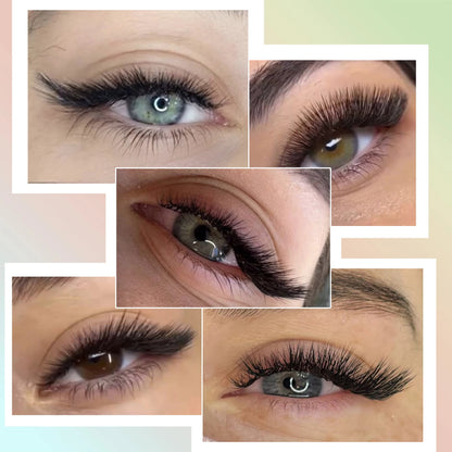 Winged Fox Diy Eyelash extension
