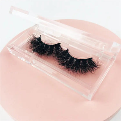 Lashes Business Printing Top Quality Clear Acrylic Lash Box Plastic Transparent Luxury Custom Lashes Case Packaging