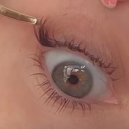 pre-bond  lasting for 7-10 days lashes
