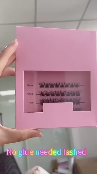 apply no glue bond lashes